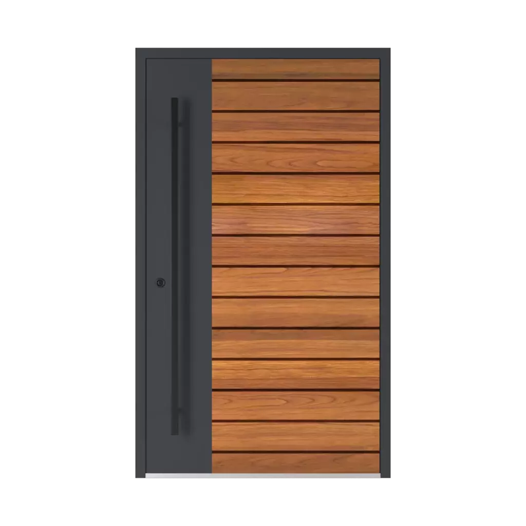 Model 6123 ✨ portes-dentree couleurs-des-portes couleurs-ral ral-6032-vert-de-securite 
